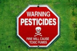 pesticide 2